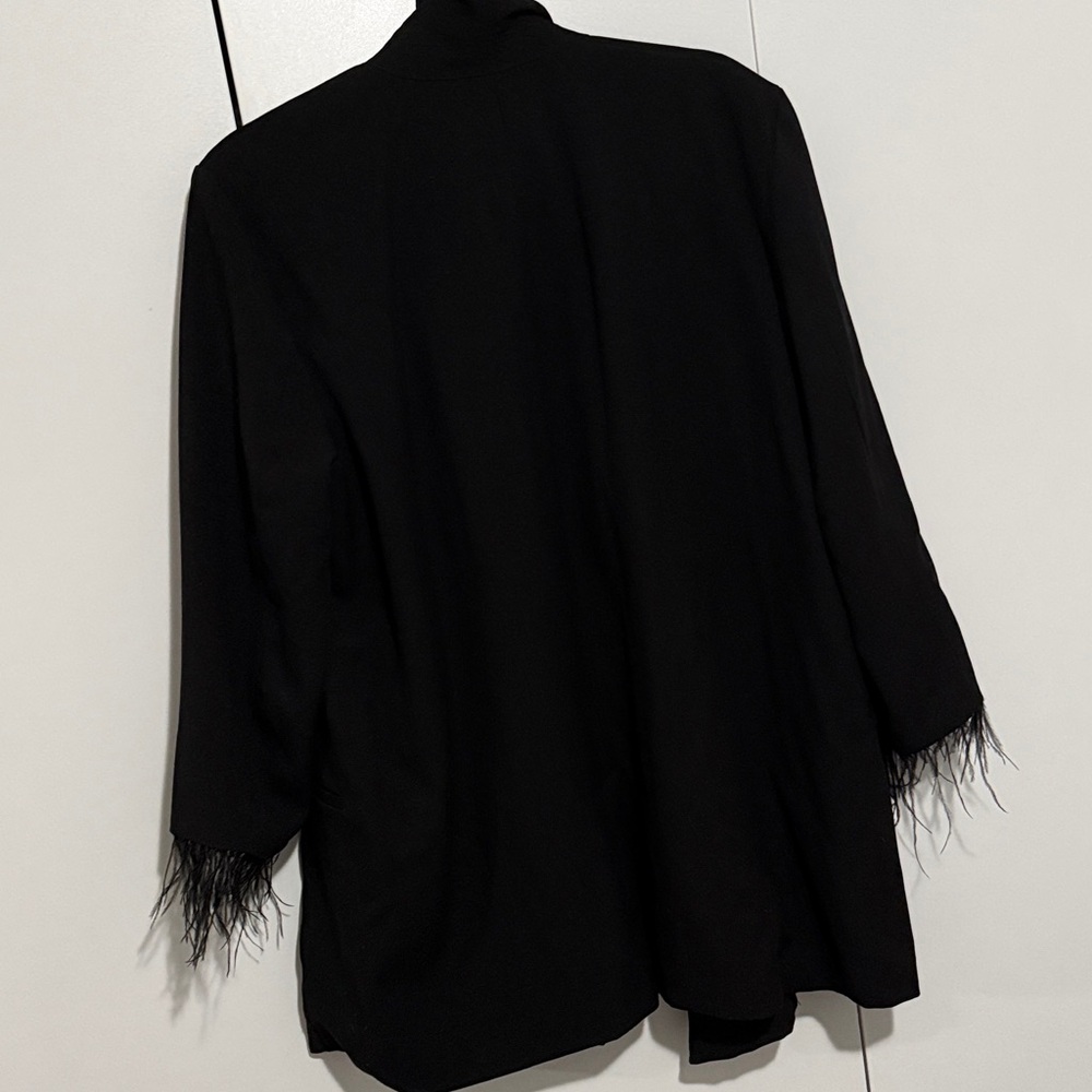 Hutch Elegant Black Blazer with Feather Accents - Picture 8 of 8
